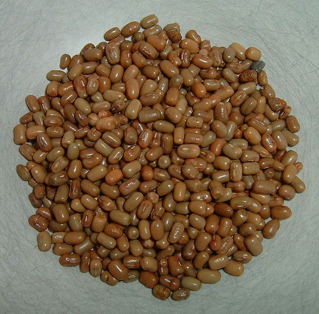 Matki Moth Beans