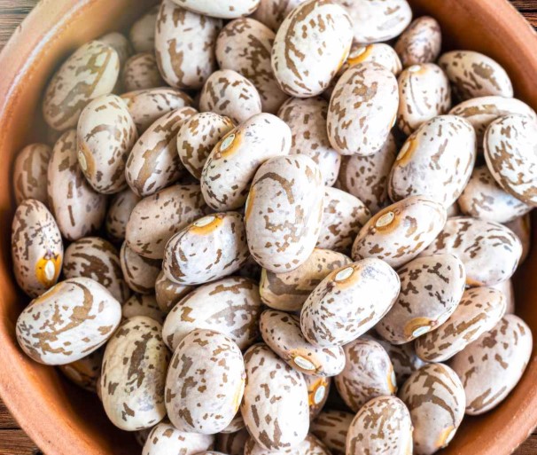 Pinto beans
