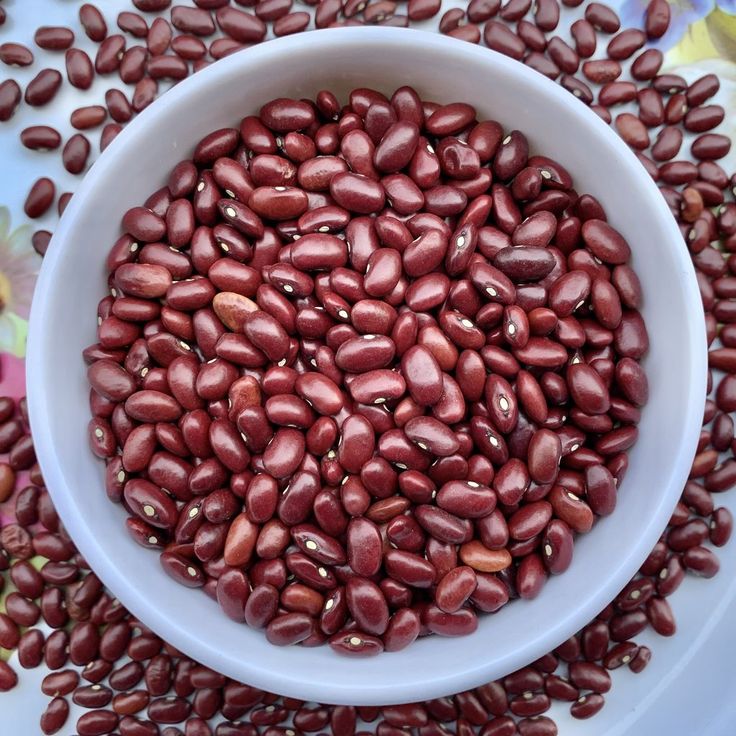Rajma Beans
